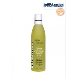 Aromaterapie Wellness Peppermint Eucalyptus 245 ml Aromaterapie Wellness Peppermint Eucalyptus 245 ml